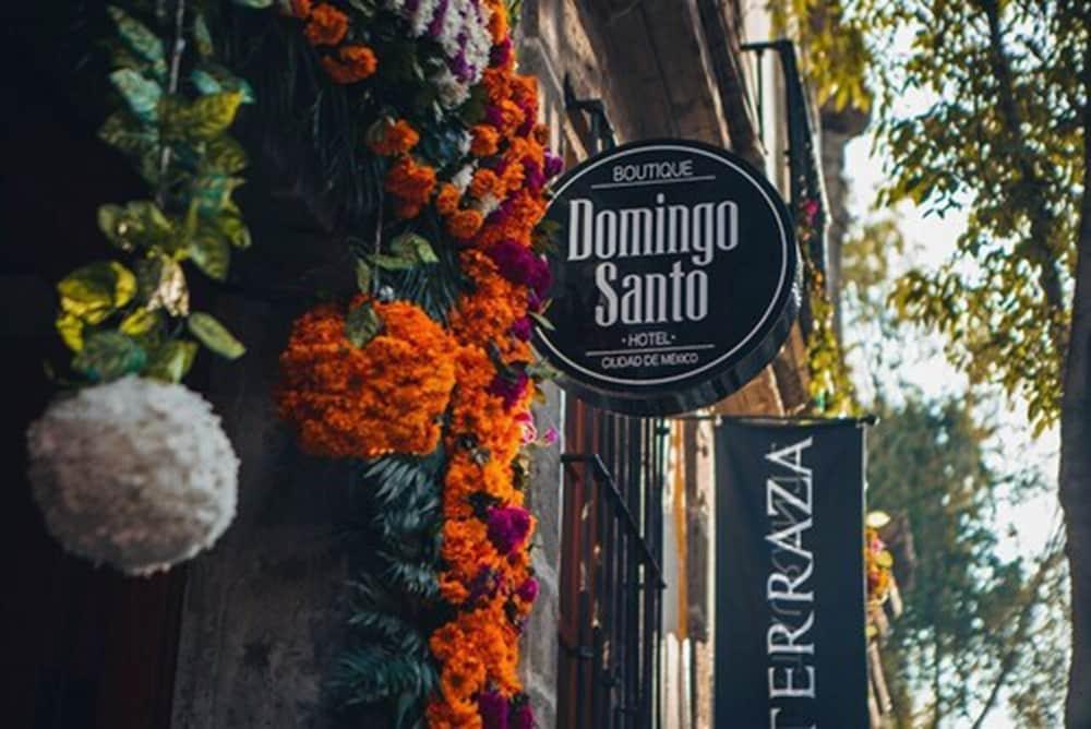 Domingo Santo Hotel Boutique (Adults Only) مدينة مكسيكو المظهر الخارجي الصورة